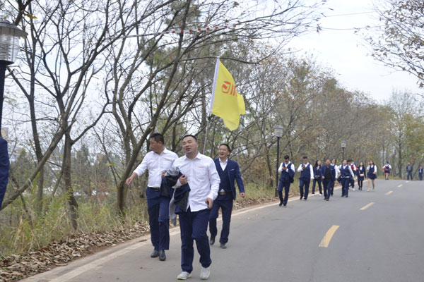 陽光行、快樂游